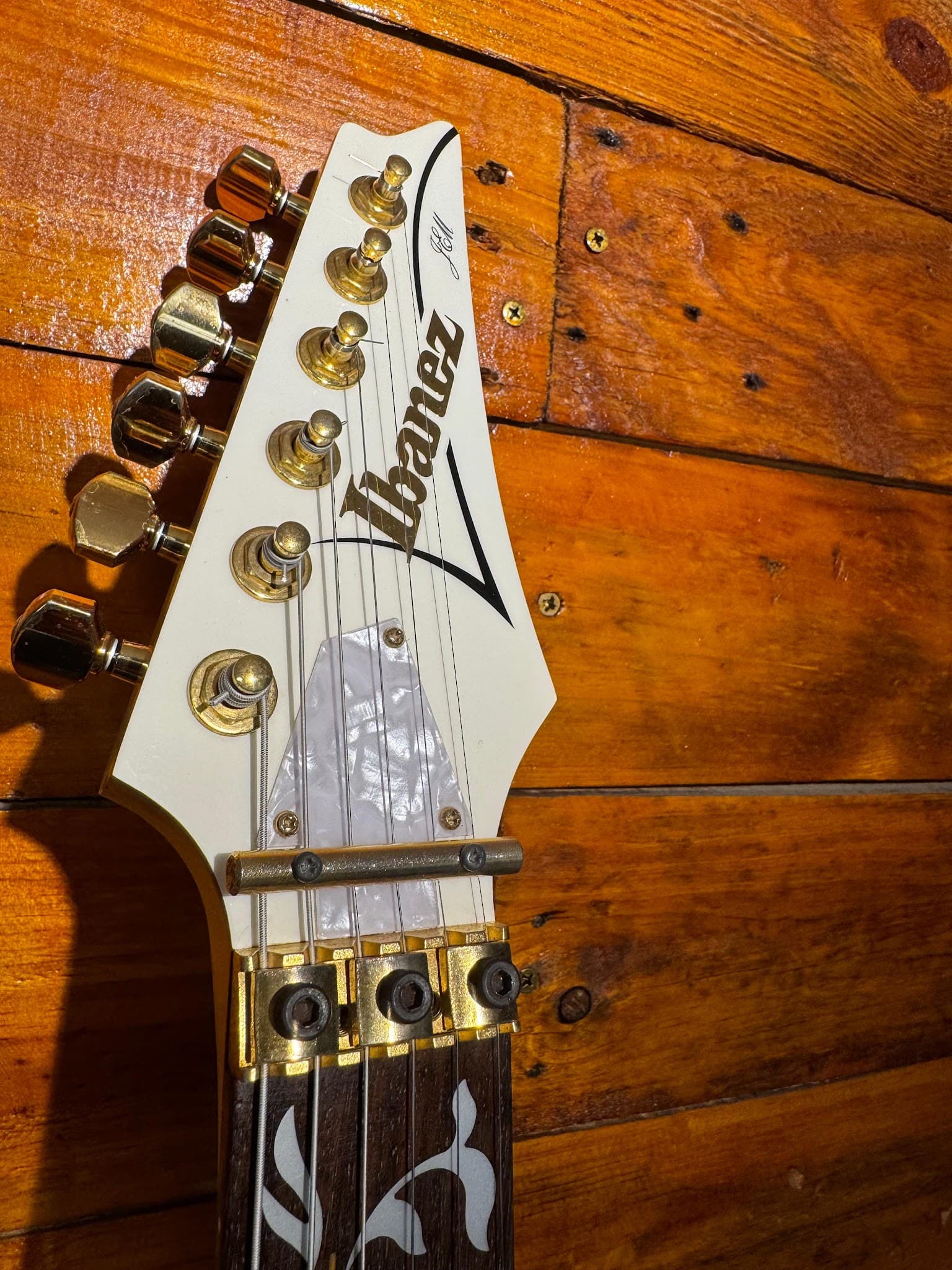 Headstock branco e dourado com trava Floyd Rose